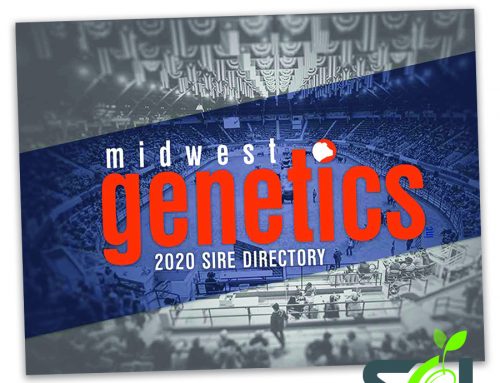 Midwest Genetics 2020 Sires Directory