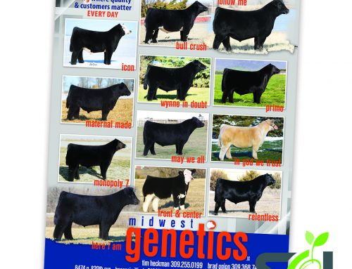 Midwest Genetics 2020 March Ad